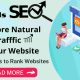 what is seo- the digitrendz